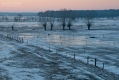 056_Biebrza - marzec 2013